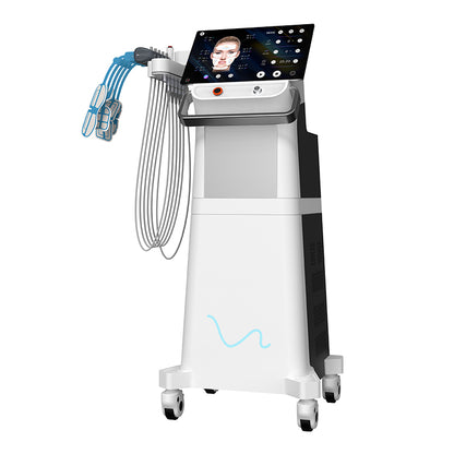 Renaface® RF Electromagnetic Face Lifting Sculpting Machine Price